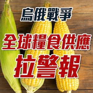 烏俄戰爭!全球糧食供應拉警報