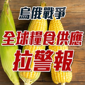 烏俄戰爭！全球糧食供應拉警報