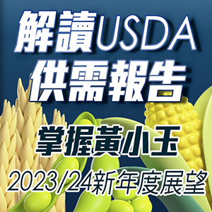 解讀USDA供需報告，掌握黃小玉2023/24新年度展望